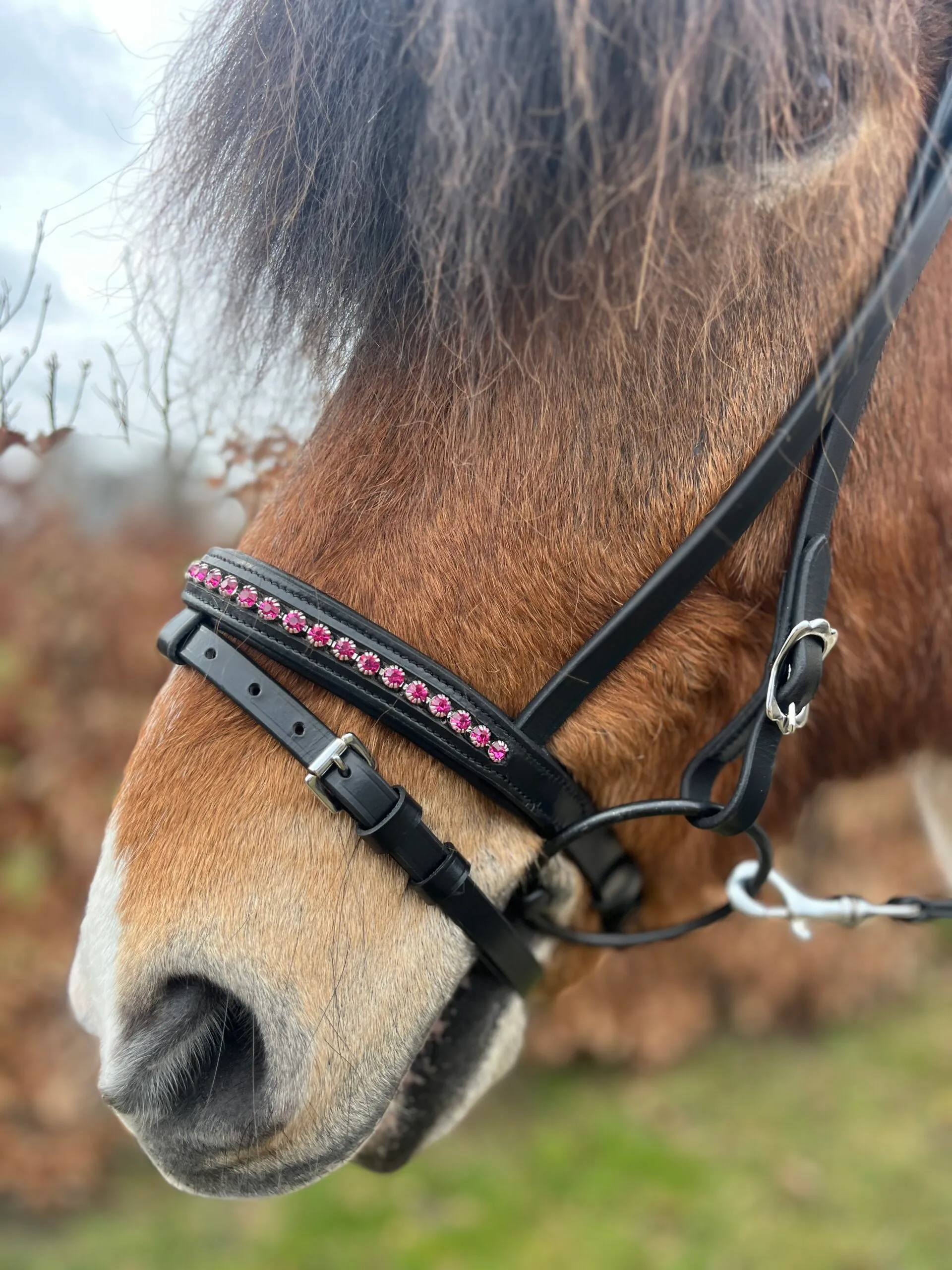 Glitra Gecombineerde neusriem